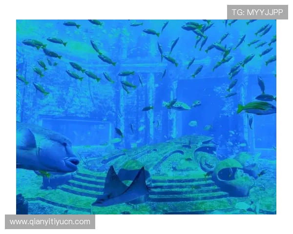 亚特兰蒂斯娱乐:打造全球知名的海底主题娱乐乐园的战略布局 亚特兰蒂斯娱乐:打造全球知名的海底主题娱乐乐园的战略布局