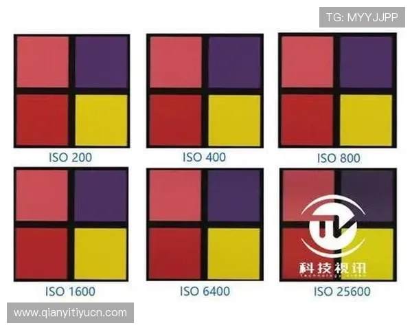 DG视讯官网未来发展趋势预测及新功能预览引领行业新潮流