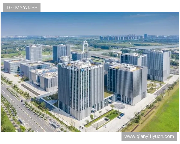 永辉国际:应对国际市场挑战的创新策略与企业持续发展的关键路径 永辉国际:应对国际市场挑战的创新策略与企业持续发展的关键路径