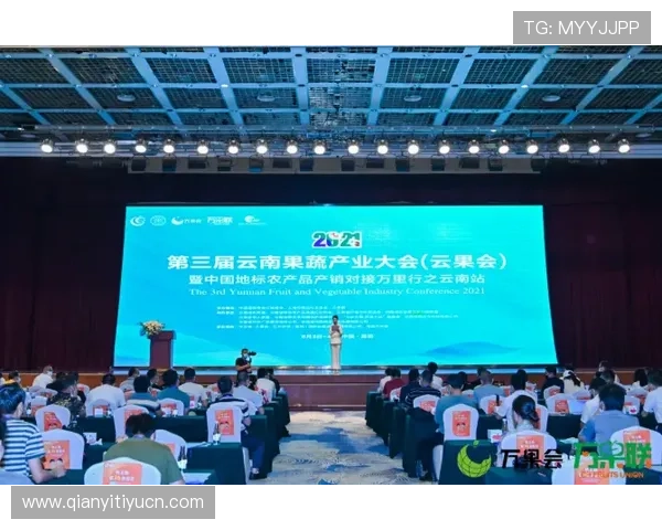 福隆国际:助力企业开拓海外市场的高效合作与资源整合平台 福隆国际:助力企业开拓海外市场的高效合作与资源整合平台