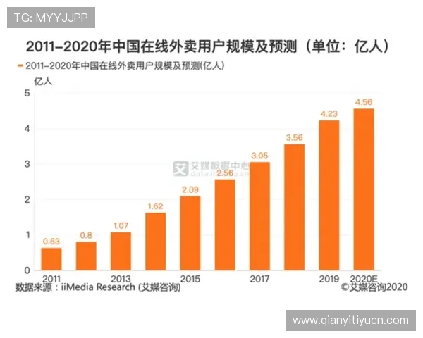 飞驰在线官网的用户评价与使用反馈分析
