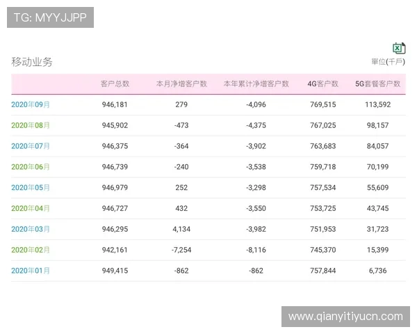 适合中国玩家的百家乐平台推荐，支持多种支付方式和优质客户服务的优选平台